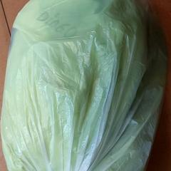 Poltsa - plastieken tas, gisa salatu by Regio Antwerpen - Brussel iLost erabiliz