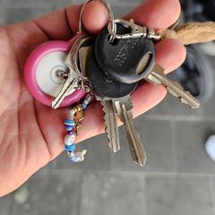 Sleutelbos, gerapporteerd met iLost