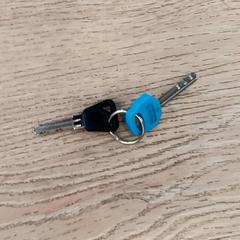 Giltzak, gisa salatu by RRReis Trein Amersfoort / Ede-Wageningen iLost erabiliz