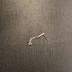 Ohrring, gemeldet von Poppodium 013 über iLost