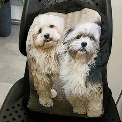 Sac à dos, a été signalé par Arriva Infoshop Enschede utilisant iLost