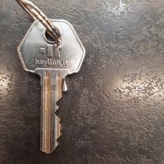 Sleutel, gemeldet von Rotterdam The Hague Airport über iLost