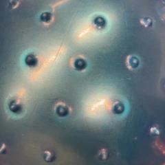 Ball, as reported by IKEA福岡新宮 using iLost