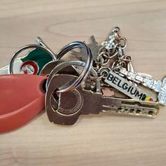 المفاتيح (متنوعة)، كما تم الإبلاغ عنه بواسطة IKEA Paris Nord Roissy عبر iLost