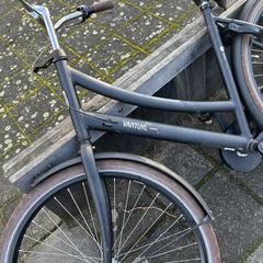 Fiets, as reported to iLost