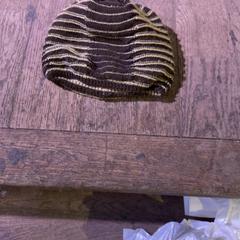 Beanie, zgłoszono przez De Heeren van Aemstel przy użyciu iLost