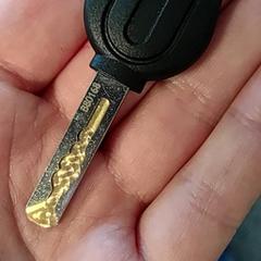 Gakoa fiets of auto (?), gisa salatu by Burgers' Zoo iLost erabiliz