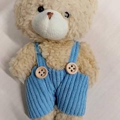 İLost kullanarak Arriva Limburg Zuid tarafından bildirildiği gibi Beertje