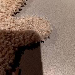 Speenkoord, amint azt De Efteling az iLost segítségével jelentette.