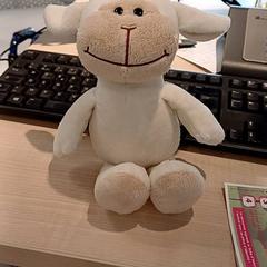 Kosete leke, som rapportert av IKEA Toulouse ved bruk av iLost