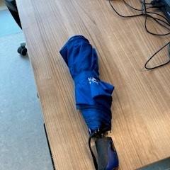 Blauwe paraplu, iLost를 사용하여 ACTA에 보고됨
