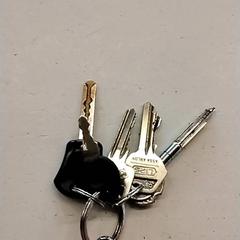 Keys, as reported by GVB using iLost