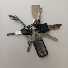 Grote sleutelbos (sleutels)., som rapportert til iLost