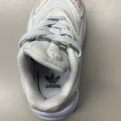 Dětské botičky Wit, jak nahlášeno Burgers' Zoo pomocí iLost