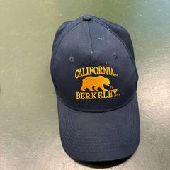 캡 Blauw, iLost를 사용하여 Universiteitsbibliotheek Universiteitskwartier에 보고됨