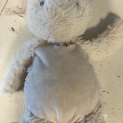 Knuffel Wit konijn, a été signalé par Artis utilisant iLost