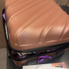 スーツケース がiLostで Rotterdam The Hague Airport によって報告されました