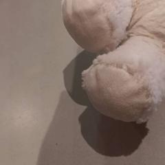 Peluche, ha sido reportado por De Efteling con iLost