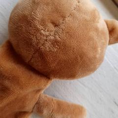 Knuffel Bruin, rapporterat av DierenPark Amersfoort med iLost