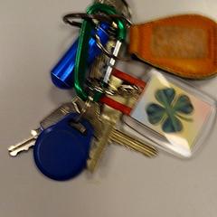 Kľúče Blauw, ako bolo nahlásené Vrije Universiteit Amsterdam pomocou iLost