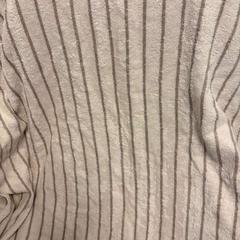 Ručník, jak nahlášeno Ramada by Wyndham Amsterdam Airport Schiphol pomocí iLost