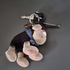 Sleutelbos, jak bylo nahlášeno na iLost