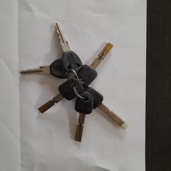 Sleutelbos met zes sleutels, iLost-i jakinarazi zaion moduan