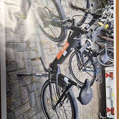 Női kerékpár, amint azt Gemeente Roermond az iLost segítségével jelentette.