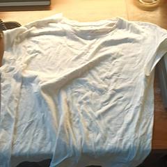 T-shirt, como reportado por BOAT&CO utilizando o iLost