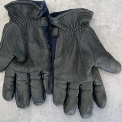 Guants, segons ha informat Arriva Achterhoek-Rivierenland mitjançant iLost