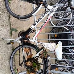 Bicicleta masculina Trekking, segundo informou Stadswerk072 usando iLost