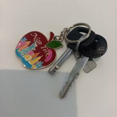 Schlüsselanhänger, gemeldet von Arriva Limburg Zuid über iLost