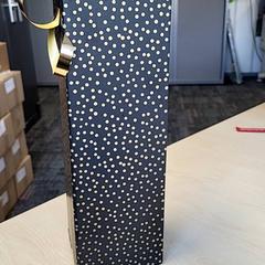 Presente, como reportado por Connexxion Haarlem IJmond utilizando o iLost