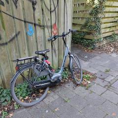 Damesfiets, ako bolo nahlásené iLost