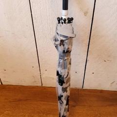 Paraply, rapporterat av DierenPark Amersfoort med iLost