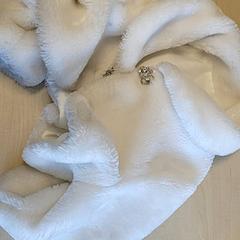 Kinderjasje Wit, segundo informou Connexxion Haarlem IJmond usando iLost