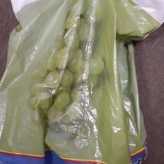 가방, iLost를 사용하여 Centraal magazijn에 보고됨