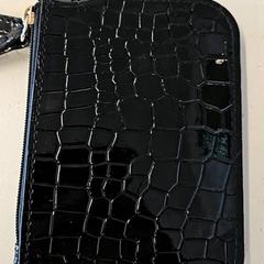 Billetera Dagli, ha sido reportado por GVB con iLost