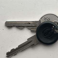 huissleutel en fietssleutel, segons s'ha informat a iLost