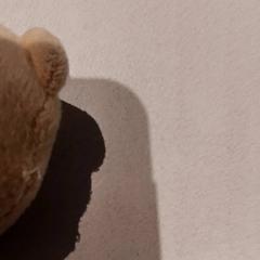 Peluche, ha sido reportado por De Efteling con iLost