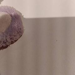 Przytulanka, zgłoszono przez De Efteling przy użyciu iLost