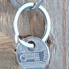 Sleutel an iLost gemeldet