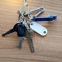 Sleutelbos, come riportato da RRReis Veluwe Zuid - Ede utilizzando iLost