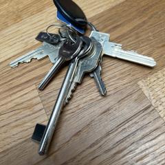 Sleutelbos, som rapportert til iLost