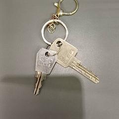 المفاتيح، كما تم الإبلاغ عنه بواسطة Qbuzz GD Groningen HS عبر iLost