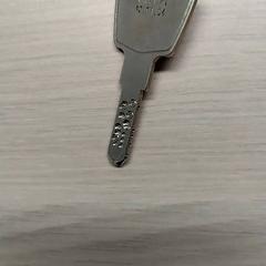 Chiave, come riportato da Zuyderland MC Heerlen utilizzando iLost