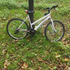 kleine sportfiets dames, gerapporteerd met iLost