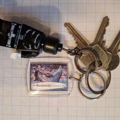 鍵 がiLostで Politiezone Rivierenland によって報告されました