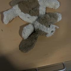 Peluche Beige bruin, come riportato da Jaarbeurs utilizzando iLost