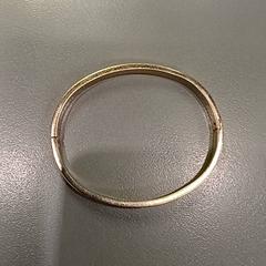 Pulseira Goud kleur, como reportado por Qbuzz GD Groningen HS utilizando o iLost